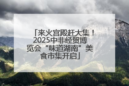 来火宫殿赶大集！2025中非经贸博览会“味道湖南”美食市集开启