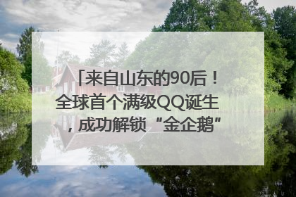 来自山东的90后！全球首个满级QQ诞生，成功解锁“金企鹅”，是继承父亲账号