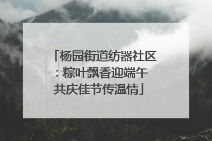 杨园街道纺器社区：粽叶飘香迎端午 共庆佳节传温情