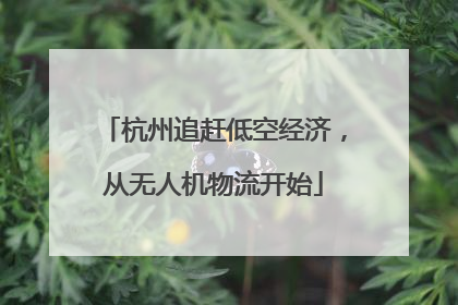 杭州追赶低空经济，从无人机物流开始