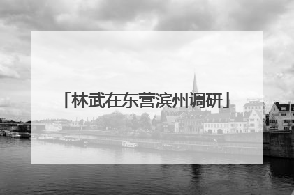 林武在东营滨州调研