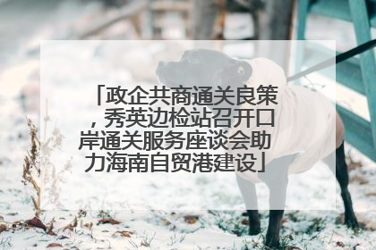 政企共商通关良策,秀英边检站召开口岸通关服务座谈会助力海南自贸港建设