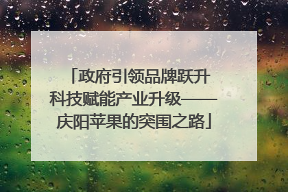 政府引领品牌跃升 科技赋能产业升级——庆阳苹果的突围之路