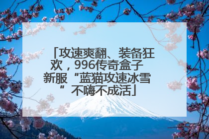 攻速爽翻、装备狂欢，996传奇盒子新服“蓝猫攻速冰雪”不嗨不成活
