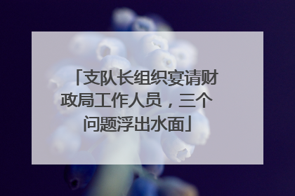 支队长组织宴请财政局工作人员，三个问题浮出水面
