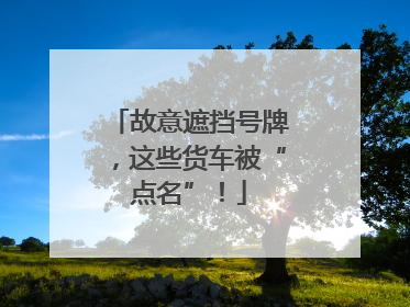 故意遮挡号牌，这些货车被“点名”！