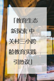 教育生态新探索 中关村三小跨龄教育实践引热议