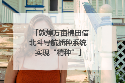敦煌万亩棉田借北斗导航播种系统实现“精种”