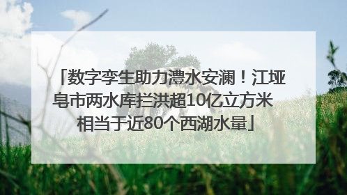 数字孪生助力澧水安澜！江垭皂市两水库拦洪超10亿立方米 相当于近80个西湖水量