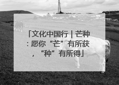 文化中国行｜芒种：愿你“芒”有所获，“种”有所得