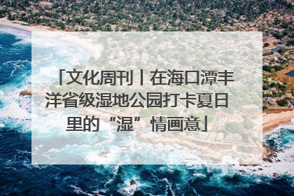 文化周刊丨在海口潭丰洋省级湿地公园打卡夏日里的“湿”情画意