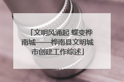文明风涌起 蝶变桦南城——桦南县文明城市创建工作综述