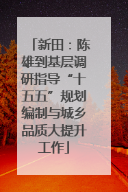 新田：陈雄到基层调研指导“十五五”规划编制与城乡品质大提升工作