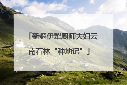 新疆伊犁厨师夫妇云南石林“种地记”