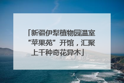 新疆伊犁植物园温室“苹果苑”开馆，汇聚上千种奇花异木