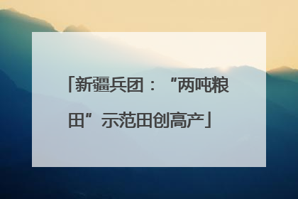 新疆兵团：“两吨粮田”示范田创高产