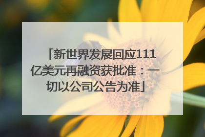 新世界发展回应111亿美元再融资获批准：一切以公司公告为准