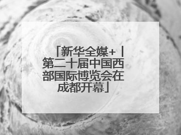 新华全媒+丨第二十届中国西部国际博览会在成都开幕