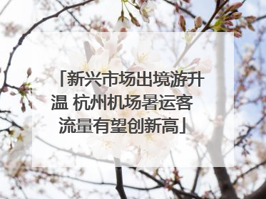 新兴市场出境游升温 杭州机场暑运客流量有望创新高