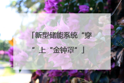 新型储能系统“穿”上“金钟罩”