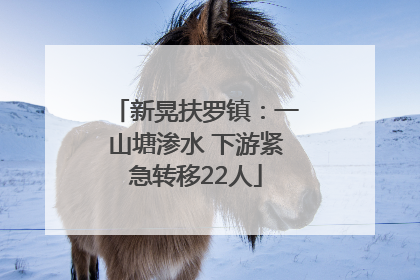 新晃扶罗镇：一山塘渗水 下游紧急转移22人