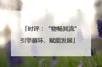 时评：“物畅其流”引擎循环、赋能发展