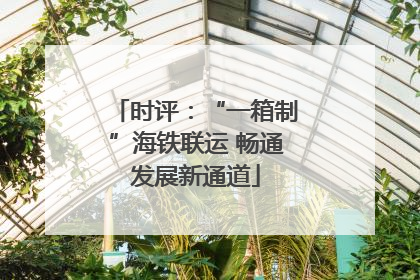 时评：“一箱制”海铁联运 畅通发展新通道