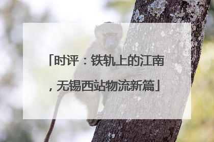 时评：铁轨上的江南，无锡西站物流新篇