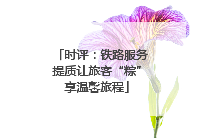 时评：铁路服务提质让旅客“粽”享温馨旅程