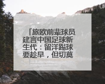 旅欧前辈球员建言中国足球新生代:留洋踢球要趁早,但切莫想着一步登天