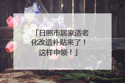 日照市居家适老化改造补贴来了！这样申领！