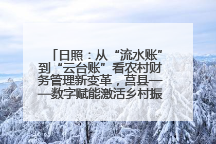 日照：从“流水账”到“云台账”看农村财务管理新变革，莒县——数字赋能激活乡村振兴“一池春水”