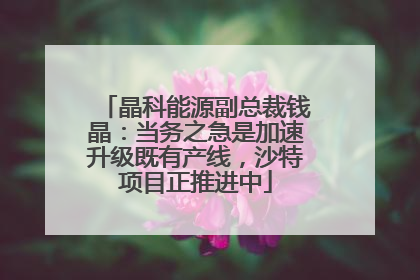 晶科能源副总裁钱晶：当务之急是加速升级既有产线，沙特项目正推进中