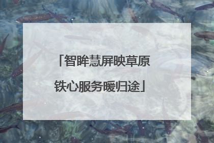 智眸慧屏映草原 铁心服务暖归途
