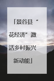 景谷县“花经济”激活乡村振兴新动能