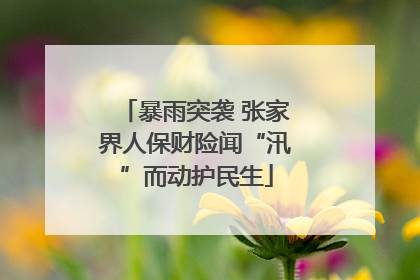 暴雨突袭 张家界人保财险闻“汛”而动护民生