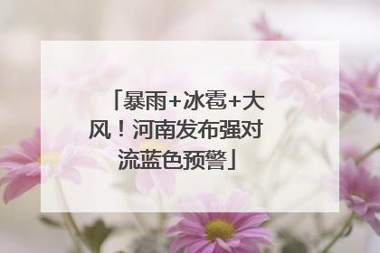 暴雨+冰雹+大风！河南发布强对流蓝色预警