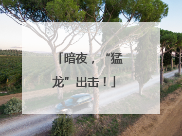暗夜，“猛龙”出击！