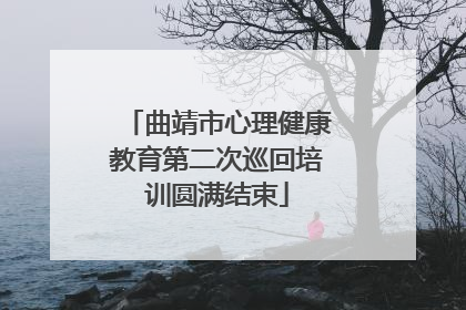 曲靖市心理健康教育第二次巡回培训圆满结束