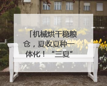 机械烘干稳粮仓，夏收夏种一体化！“三夏”生产跑出加速度｜麦报