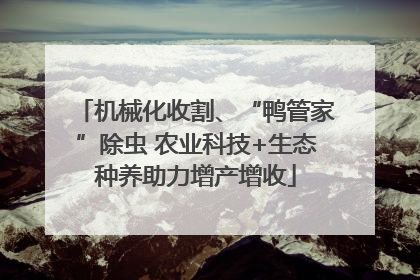 机械化收割、“鸭管家”除虫 农业科技+生态种养助力增产增收