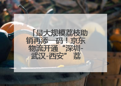 最大规模荔枝助销再添一码！京东物流开通“深圳-武汉-西安” 荔枝全货机航线