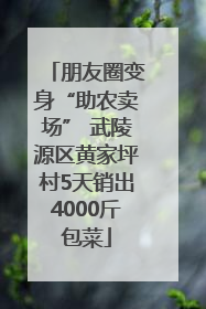 朋友圈变身“助农卖场” 武陵源区黄家坪村5天销出4000斤包菜