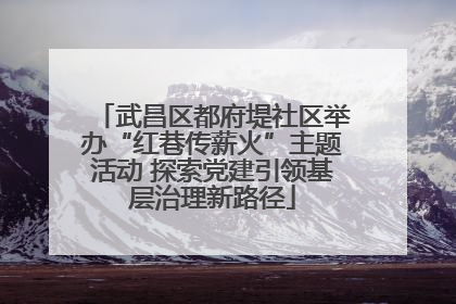 武昌区都府堤社区举办“红巷传薪火”主题活动 探索党建引领基层治理新路径