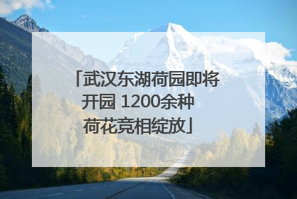 武汉东湖荷园即将开园 1200余种荷花竞相绽放