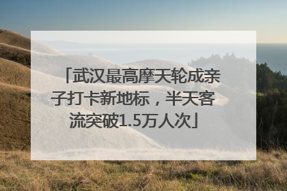 武汉最高摩天轮成亲子打卡新地标，半天客流突破1.5万人次