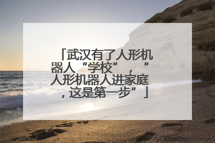 武汉有了人形机器人“学校”，“人形机器人进家庭，这是第一步”