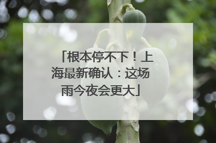 根本停不下！上海最新确认：这场雨今夜会更大