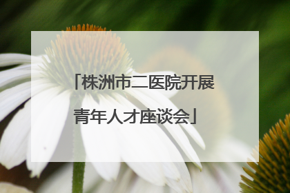 株洲市二医院开展青年人才座谈会