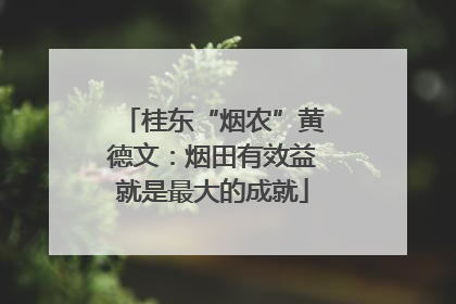 桂东“烟农”黄德文：烟田有效益就是最大的成就